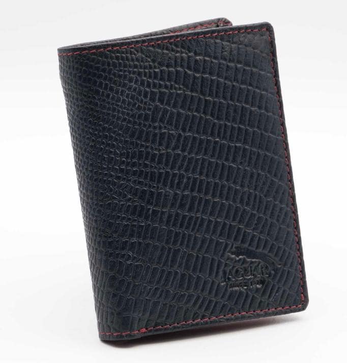 Cartera tarjetero piel correílla